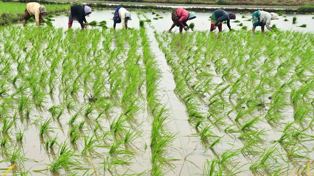Pick of BL commodities - July 6, 2025