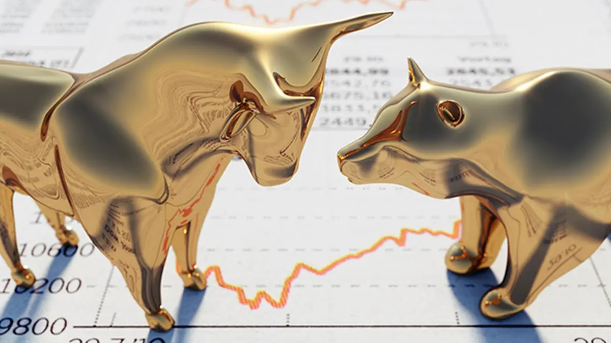 The bees in the bull-bear game - The Hindu BusinessLine