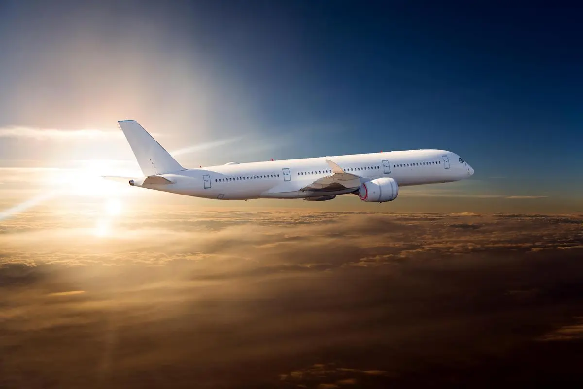 thehindubusinessline.com - West Asia conflict hits aviation, tourism, inbound travel dips 15-20%, industry faces ₹18,000 cr loss: PHDCCI