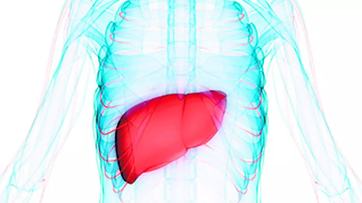 IT professionals, your liver needs your urgent attention