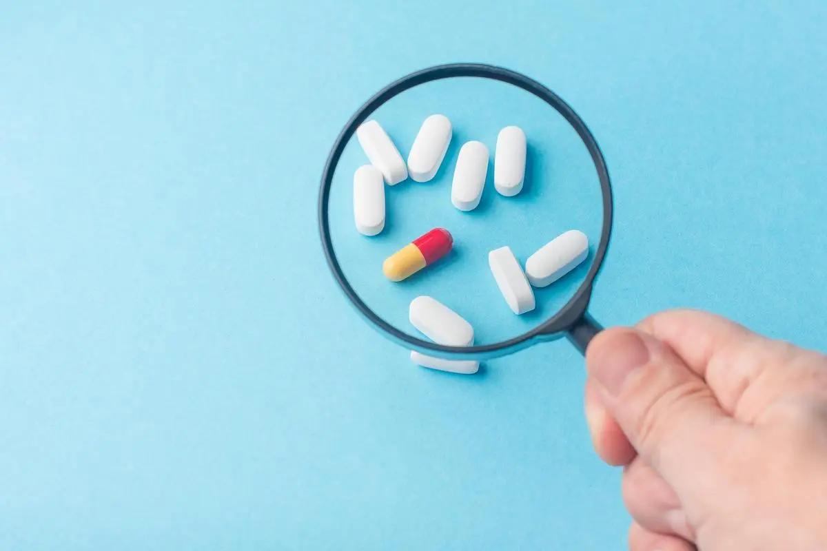 thehindubusinessline.com - Focus on these 4 pharma stocks: Sun Pharma, Zydus, Alembi, Rubicon on Monday