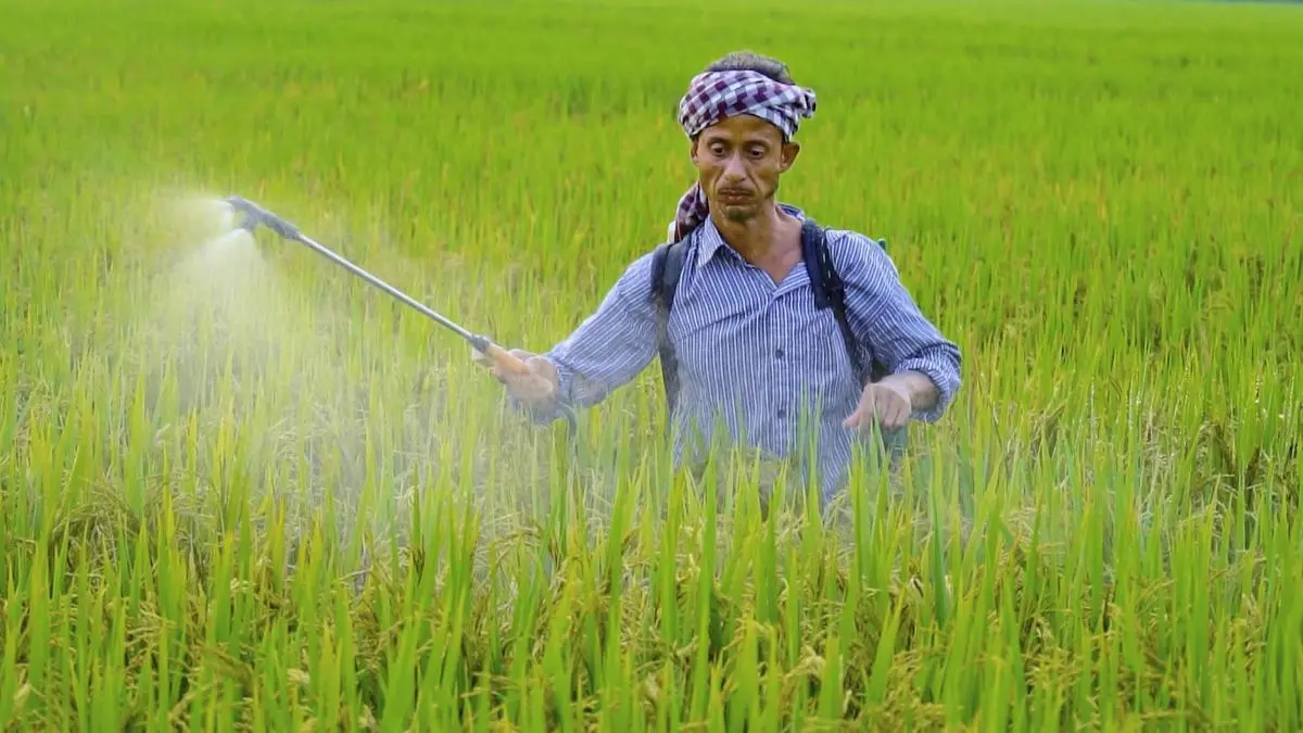 India’s fertilizer production drops as Iran war disrupts supplies