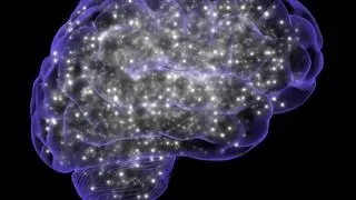 peterhowell peterhowell