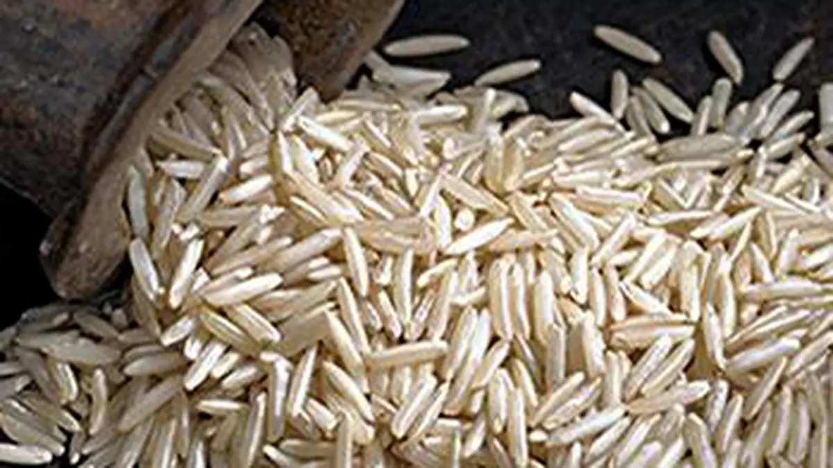 India’s basmati growers object to hike in export registration fees