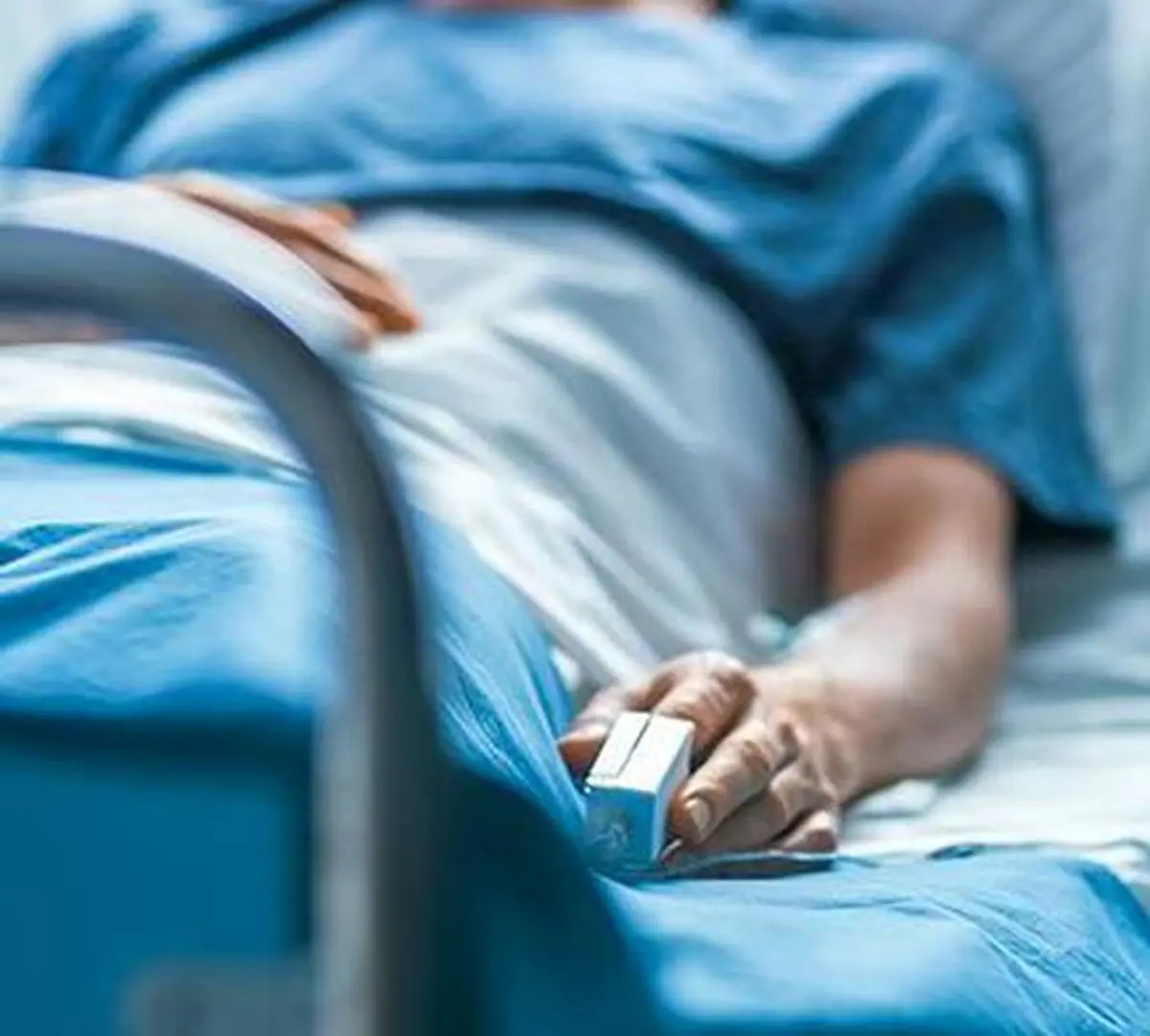 thehindubusinessline.com - QCIL inks agreements with Ampin Energy and Radiance Renewables to transition facilities to sustainable energy