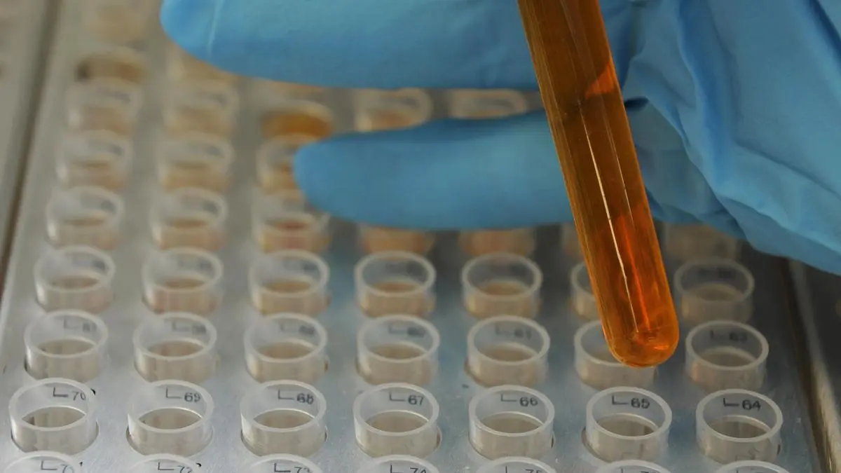 Piramal Pharma clocks 11 per cent income progress in second quarter