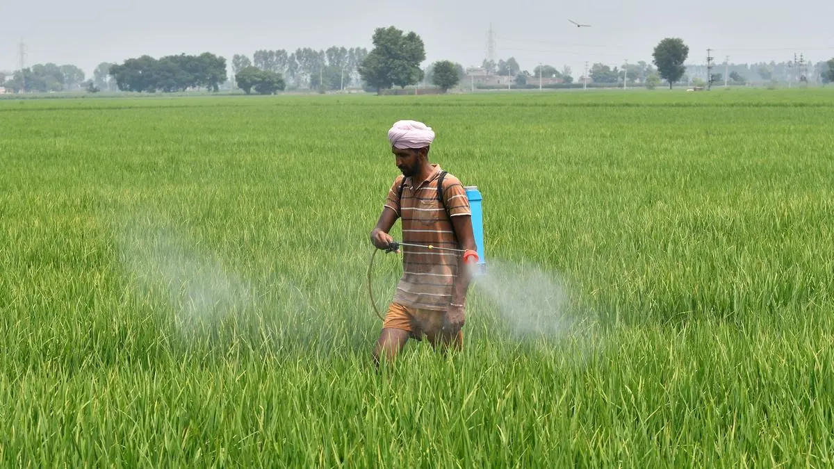 Export Vs Industry: Punjab government caught in pesticide ban tug-of-war