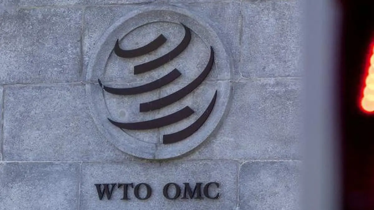 Sharp divide over e-commerce moratorium on customs duties in WTO: GTRI