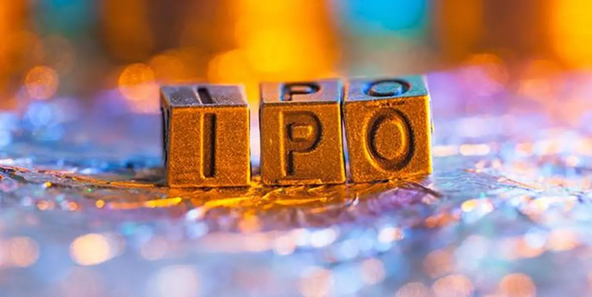 thehindubusinessline.com - Sudeep Pharma IPO Day 2: Sees Retail demand, Should you apply?