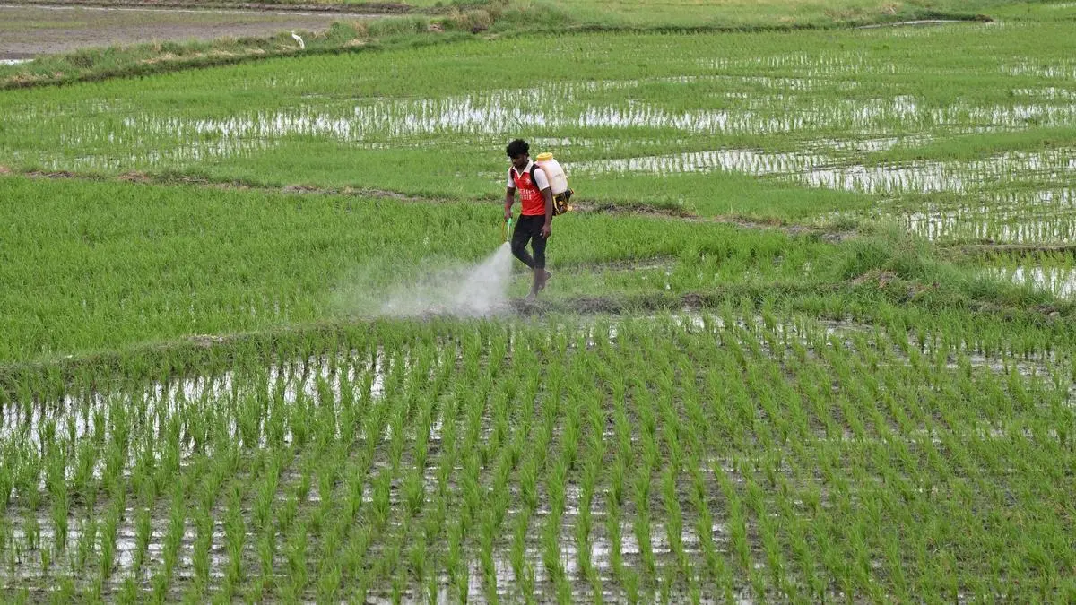 The business case for a triple win in Indian agriculture