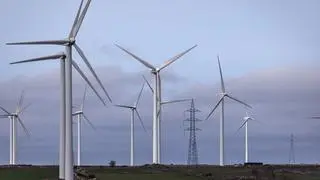 ReNew said that it added 768 MW of wind energy capacity in FY24, which is one of the highest capacity additions among all companies in India, in a single year. ReNew said that it added 768 MW of wind energy capacity in FY24, which is one of the highest capacity additions among all companies in India, in a single year.