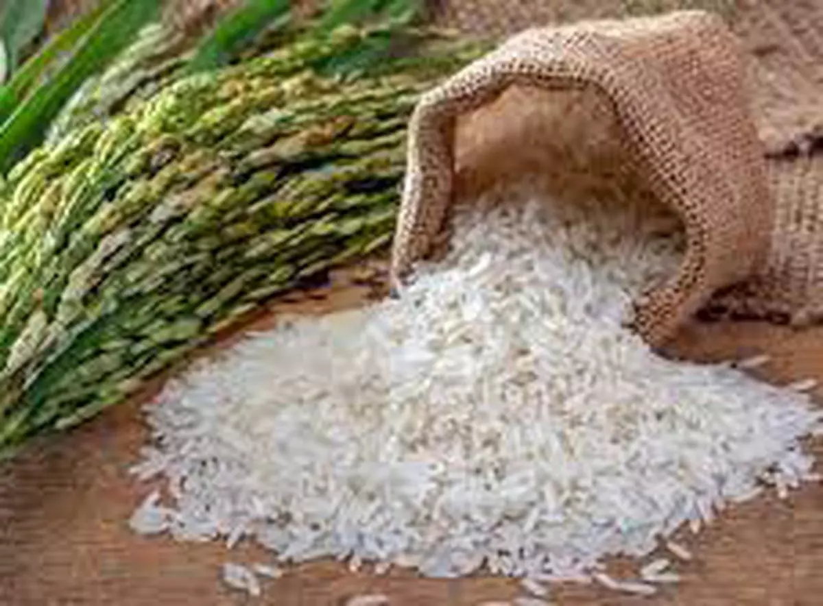 Bangladesh’s rice imports are the main reason why the foodgrain prices are increasing in the country.