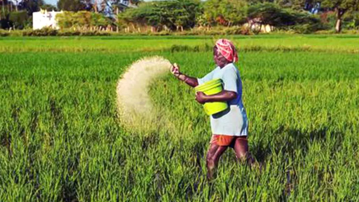 fertilizer-subsidy-may-drop-below-be-of-1-75-lakh-crore-india-daily-mail