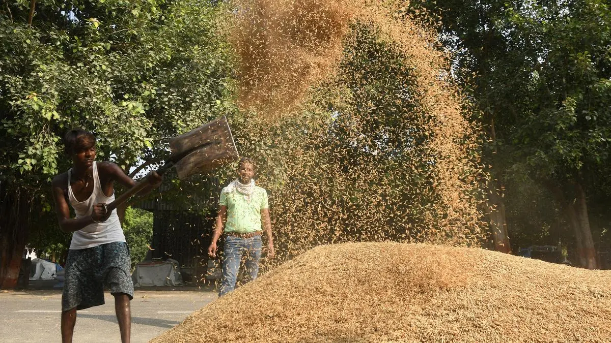 Mixed trend in mandi prices of Rabi crops