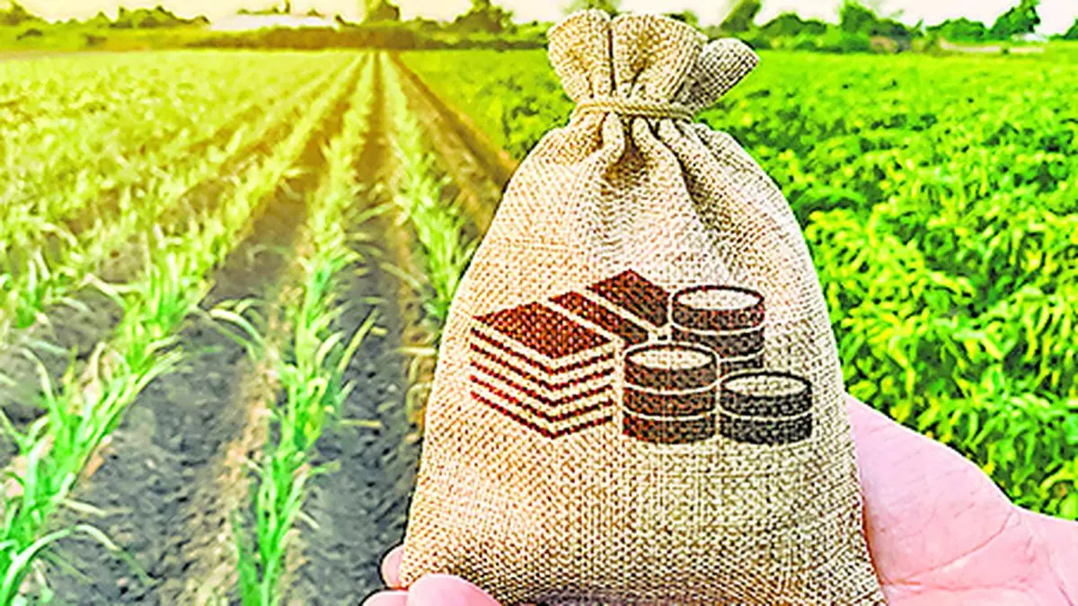 Spright Agro executes orders worth ₹299 crore
