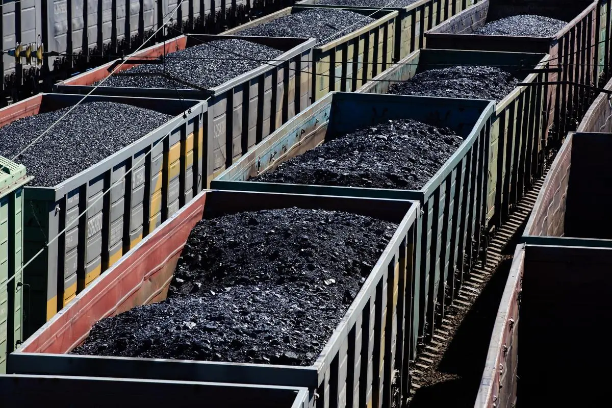 thehindubusinessline.com - Govt directs imported coal based plant to run at full capacity till June