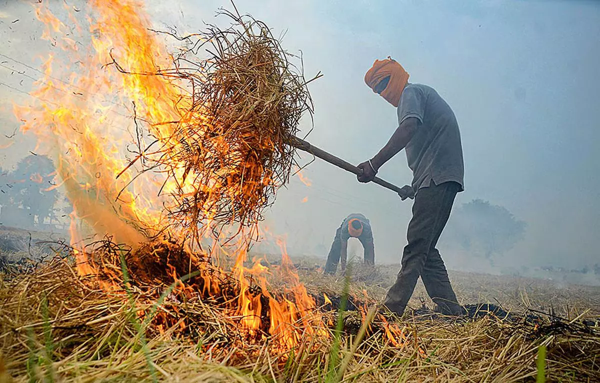 Stubble Burning 