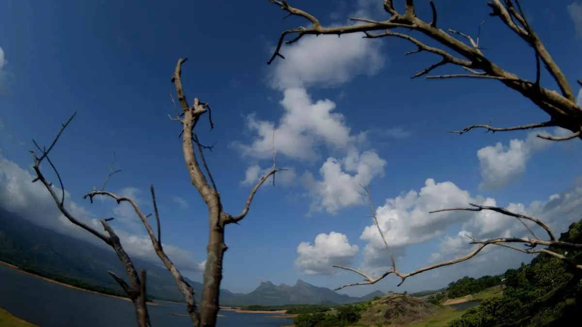 South-West monsoon will be below-normal this year, says private weather forecast agency