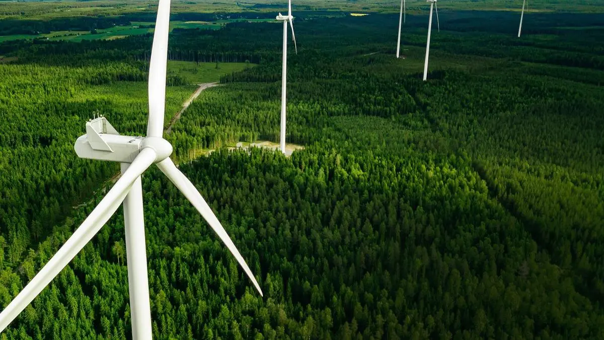 Inox Wind executes 990 MW turnkey project from Purvah Green