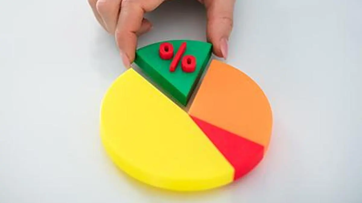 AVI Polymers’ promoters to hike stake by 5%