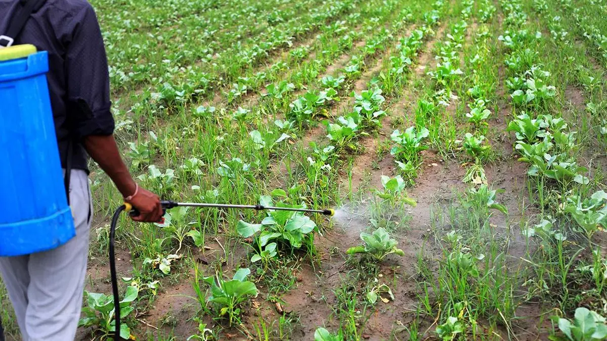 India needs national soil health framework: NIPHM DG