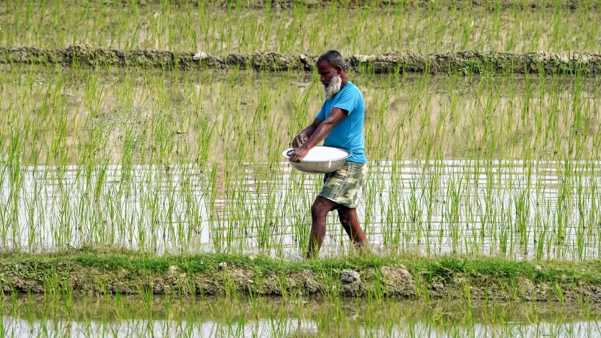 Editorial. Feedstock facts