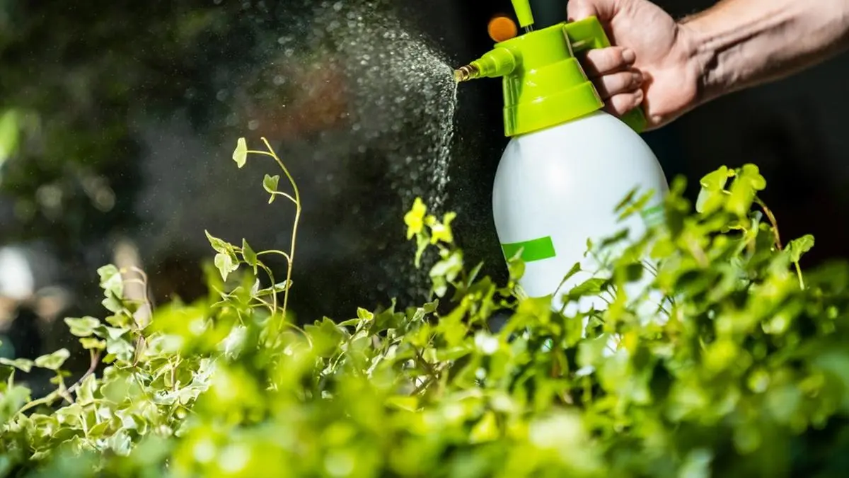 Algunos pesticidas certificados también se utilizan en la agricultura orgánica, dice CropLife India.