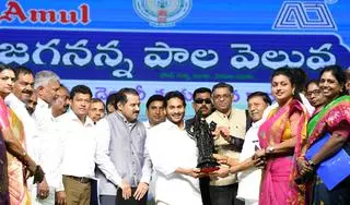 Chief Minister YS Jagan Mohan Reddy and Amul Managing Director Jayen Mehta at the foundation stone laying ceremony of ‘Amul Chittoor Dairy’ in Chittoor on Tuesday. Ministers K Narayanaswamy, Peddireddy Ramachandra Reddy, S Appala Raju, Usha Sri Charan and RK Roja are also present
