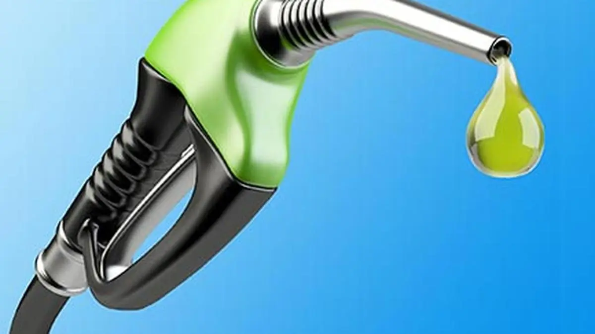 India’s ethanol breakthrough: Building on the E-20 achievement for a sustainable future