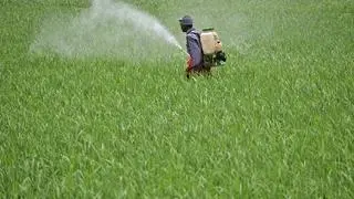 Lario gave the example of Meghalaya, where IFAD has promoted and incubated a number of market-driven enterprises which are offering agri-entrepreneurs incubation, mentoring, credit, and access to markets