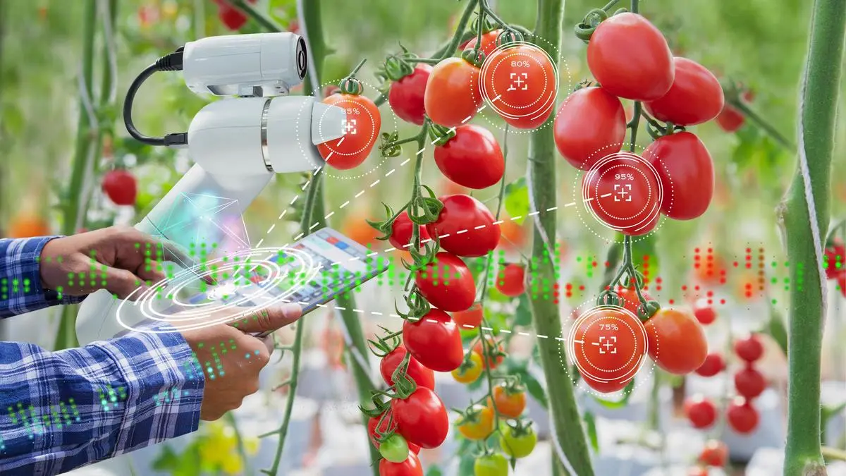 Farming the future: Why AI could be the most powerful tool against climate uncertainty