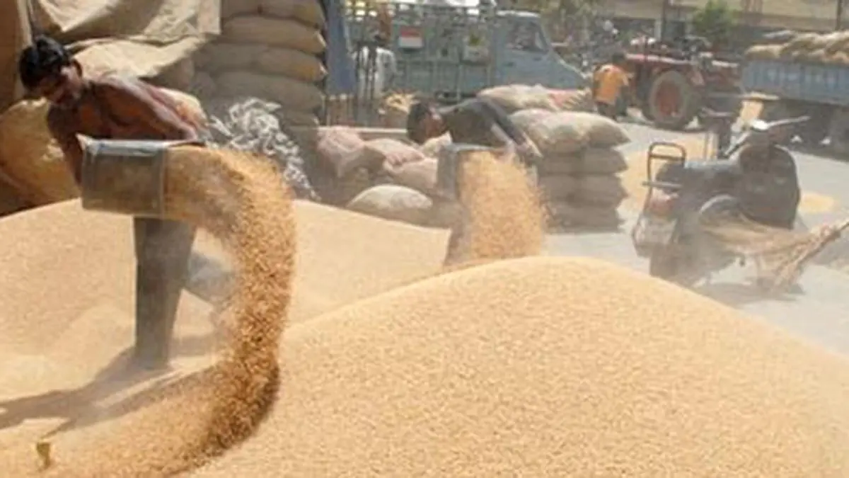 Food stocks with FCI down to 78 of its covered storage capacity The Hindu BusinessLine