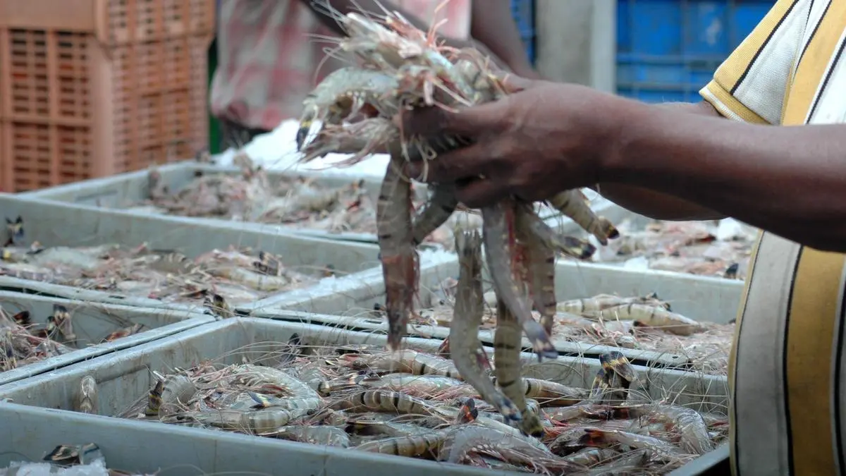 India needs to recalibrate export strategy, quickly