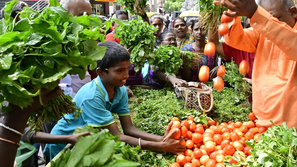 Bumper kharif production estimate likely to lower food inflation, says Finmin report