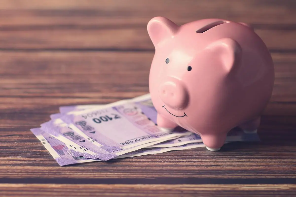 thehindubusinessline.com - Rupee undervalued, inflation gap at record low, time to turn constructive on Indian assets: DSP Mutual Fund