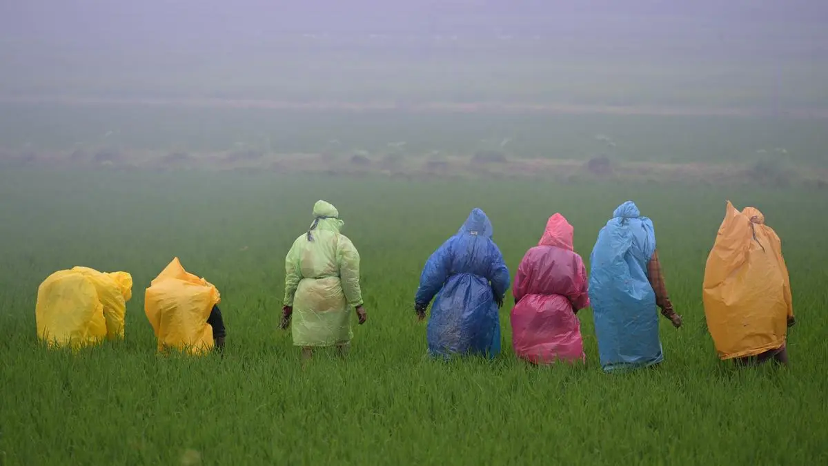 Monsoon Withdrawal Delayed, Rainfall Above Normal