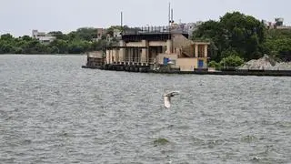 Water regulation: Uniform norms Water regulation: Uniform norms