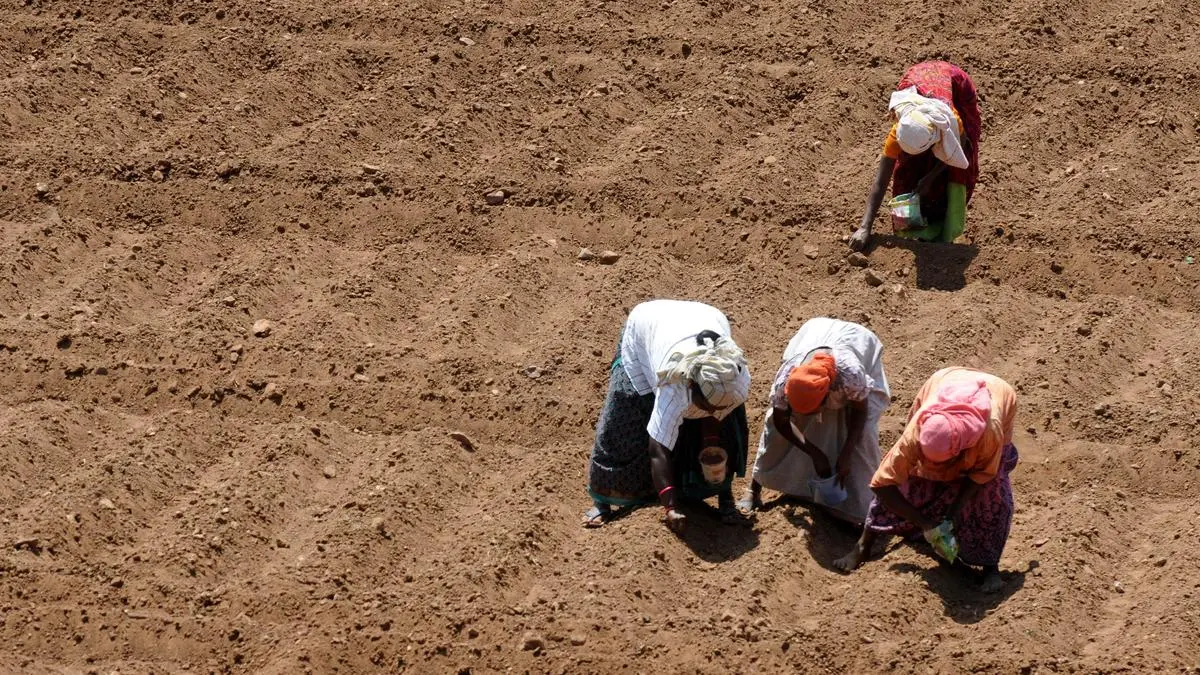 15 years of NRLM: Rural women are rewriting India’s development story