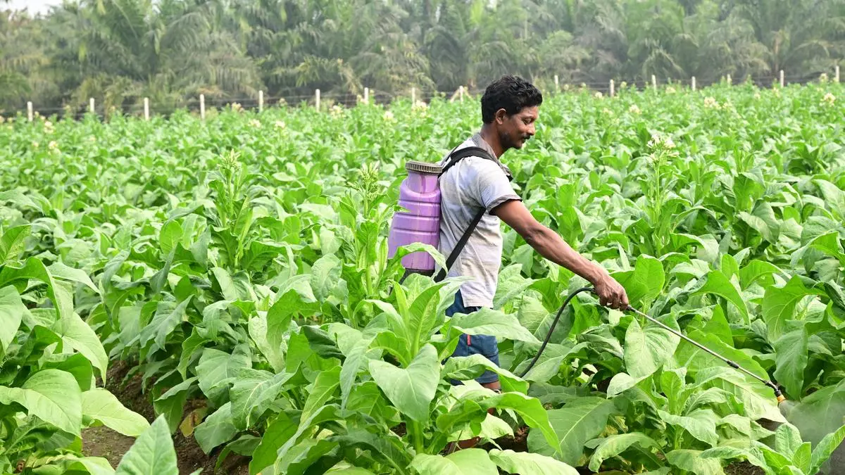 CropLife India sounds alarm over pesticide industry risks from West Asia conflict