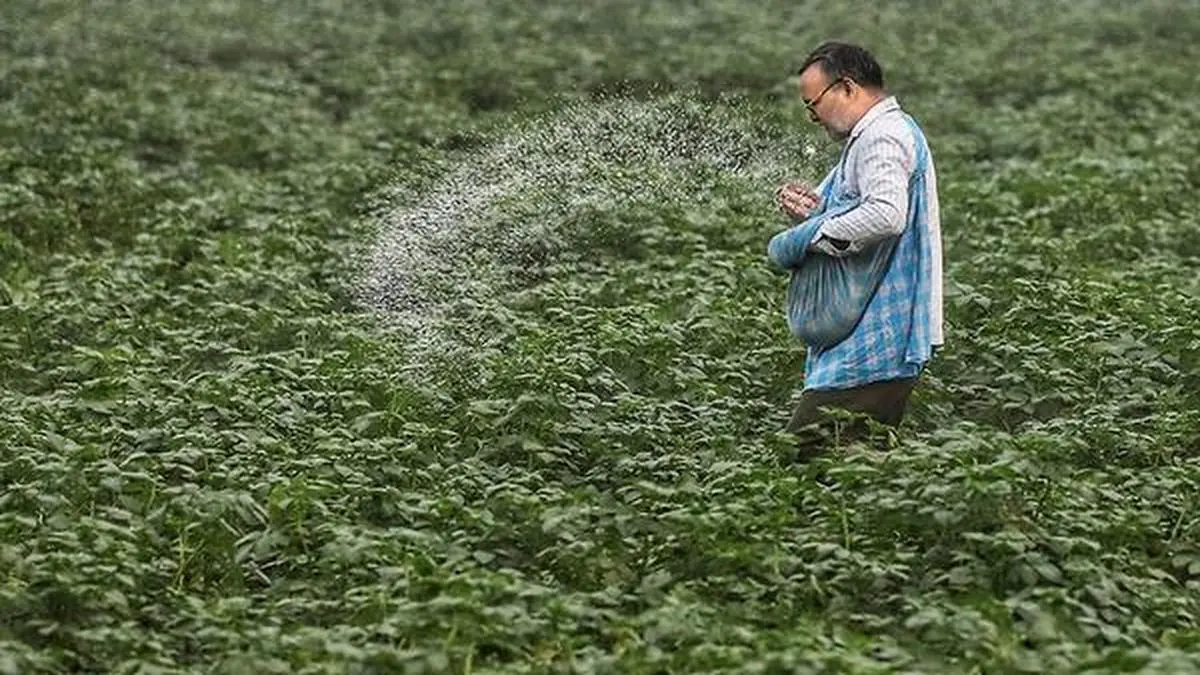 India in talks with Russia, Belarus, Morocco to boost fertiliser imports