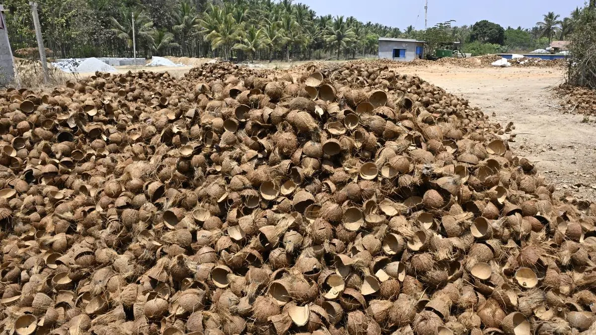 West Asia crisis hits activated carbon exports as costs surge amid shipping woes