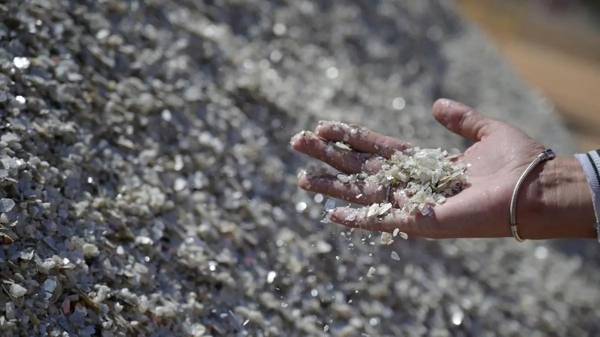 India, Central Asian countries express interest in joint rare earths exploration