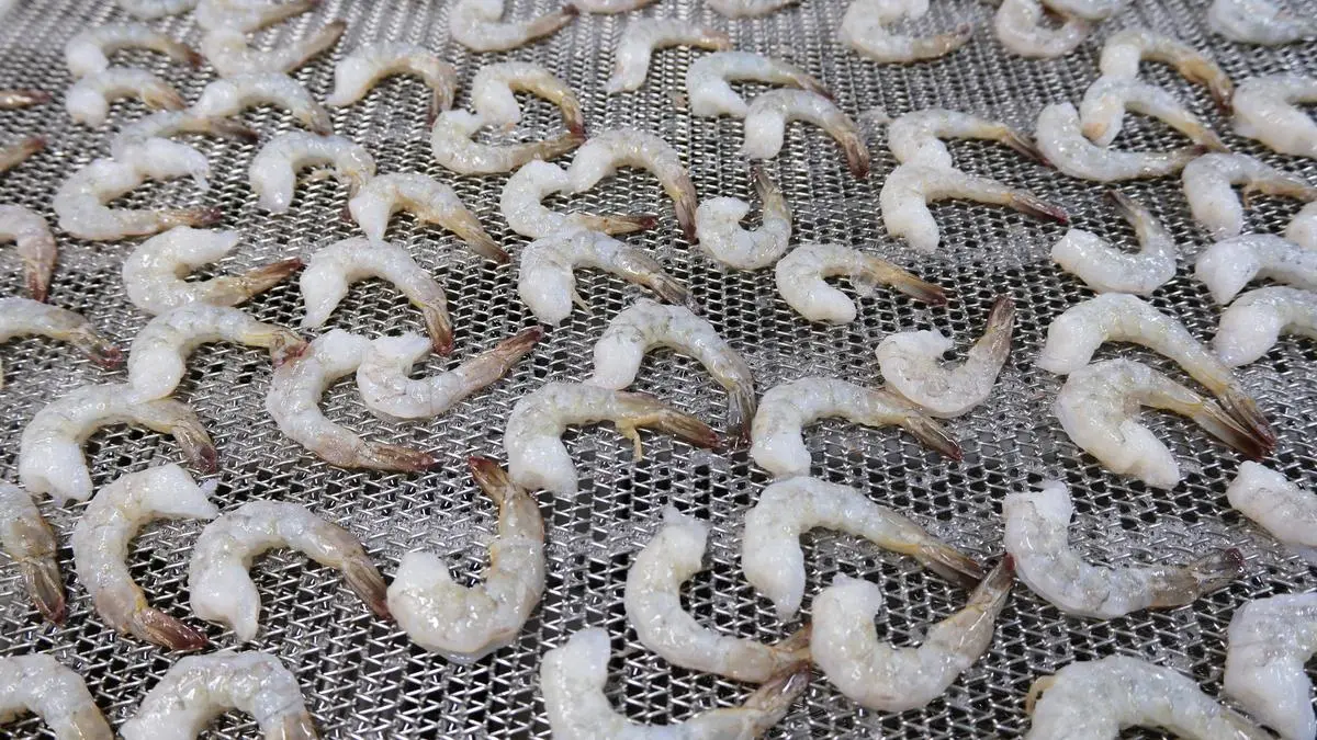 USFDA slaps new requirements for Indonesia's shrimp and spices after radioactive contamination