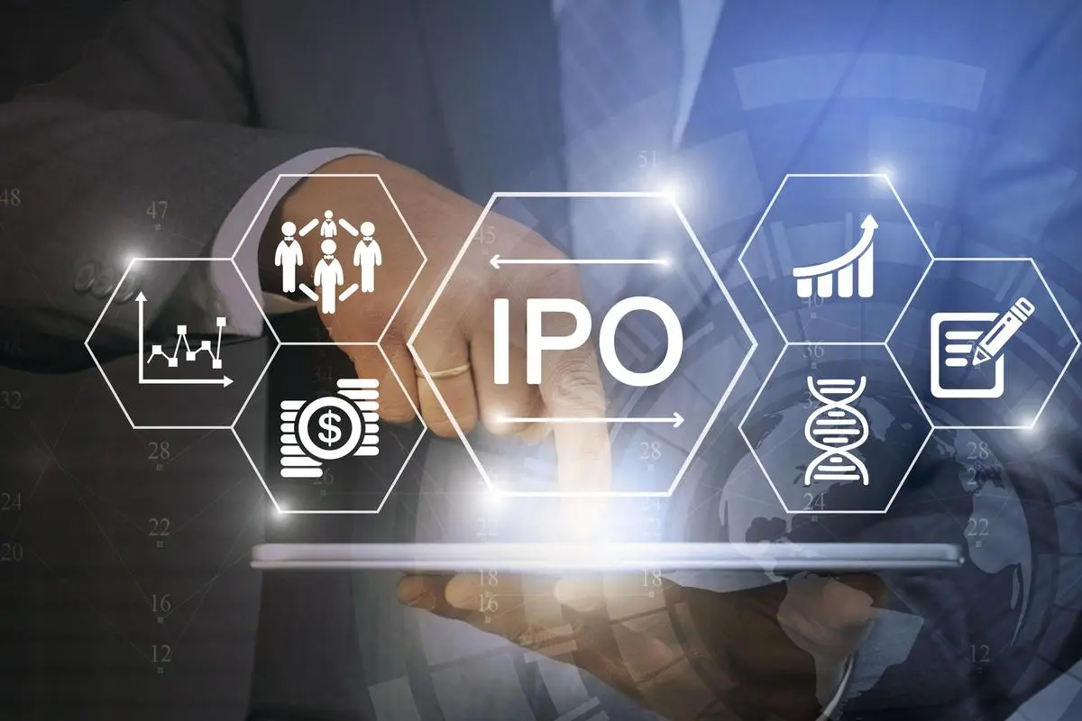 thehindubusinessline.com - Fintech IPO plans hit pause as weak rupee, retail pullback weigh on timing