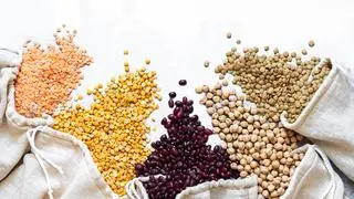 Di antara tantangan dalam meningkatkan produksi pulsa, kementerian mencatat bahwa 75 persen dari tanaman ini ditanami hujan dan ditanam di lahan marjinal dengan kesuburan rendah oleh petani kecil dan marjinal. Di antara tantangan dalam meningkatkan produksi pulsa, kementerian mencatat bahwa 75 persen dari tanaman ini ditanami hujan dan ditanam di lahan marjinal dengan kesuburan rendah oleh petani kecil dan marjinal.