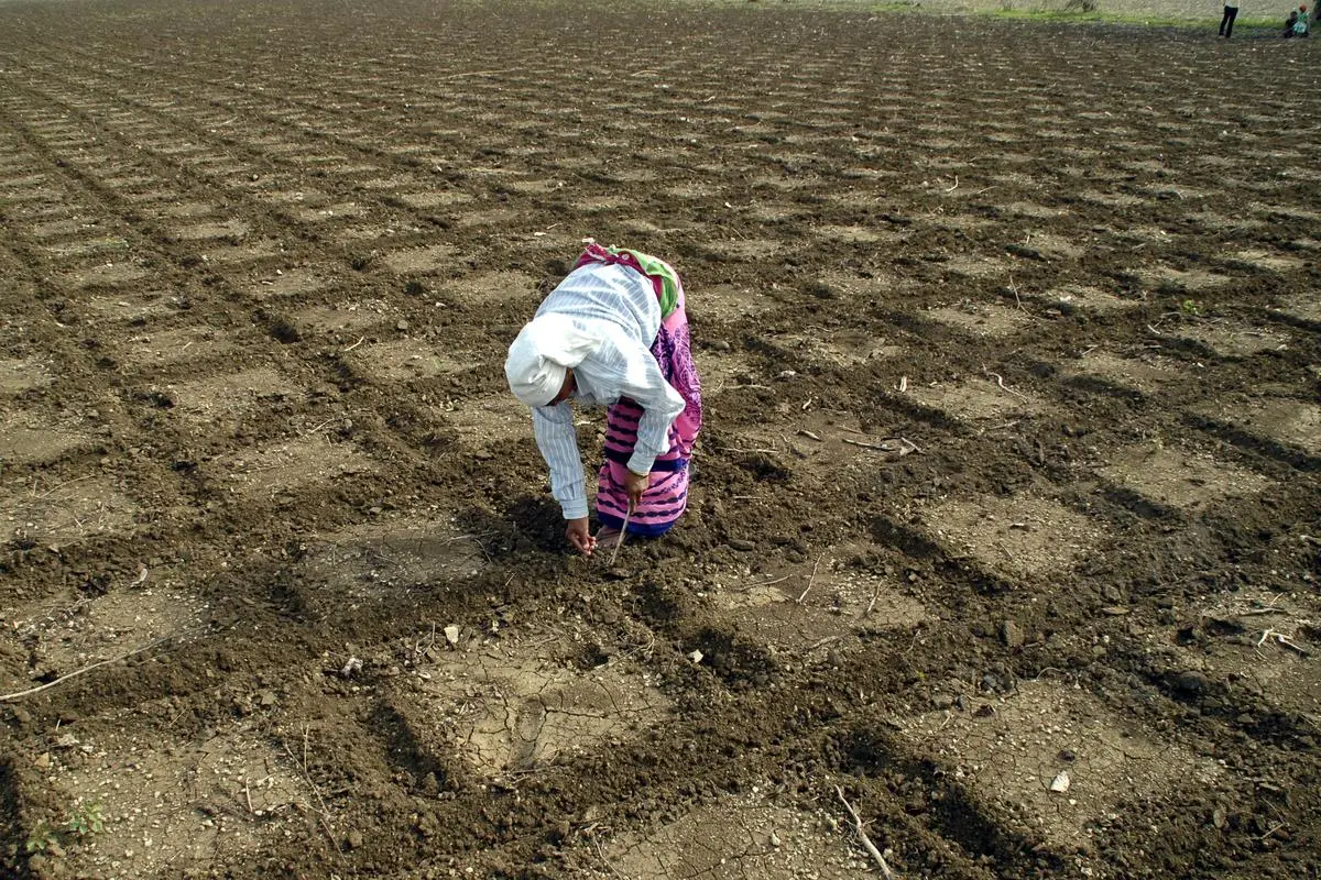 thehindubusinessline.com - Maharashtra poised to lead India's natural farming revolution