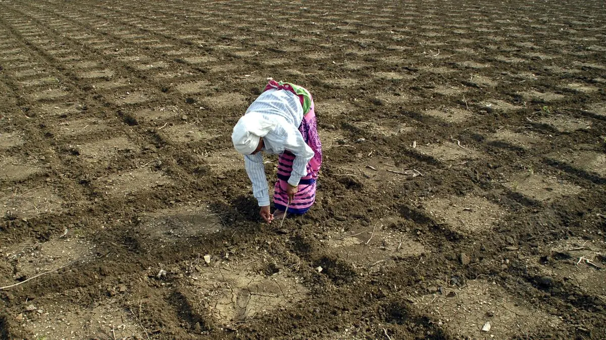 Maharashtra poised to lead India’s natural farming revolution