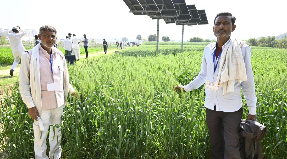 thehindubusinessline.com - Reorienting farm research