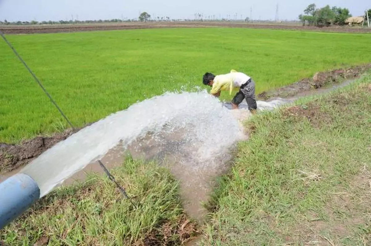 necessity of irrigation in india