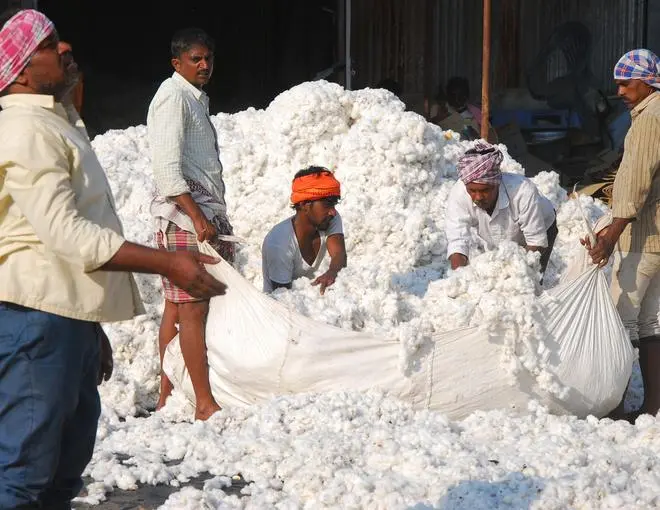 Amidst record imports, muted demand, prices are expected to stay bearish and CCI may have do some heavy lifting through major market intervention.